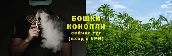 трава Армянск