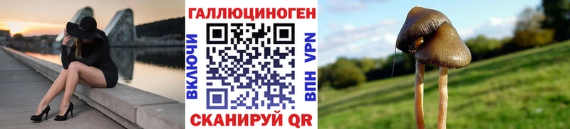 Псилоцибиновые грибы ЛСД  купить наркотик  blacksprut ссылки  Краснодар 